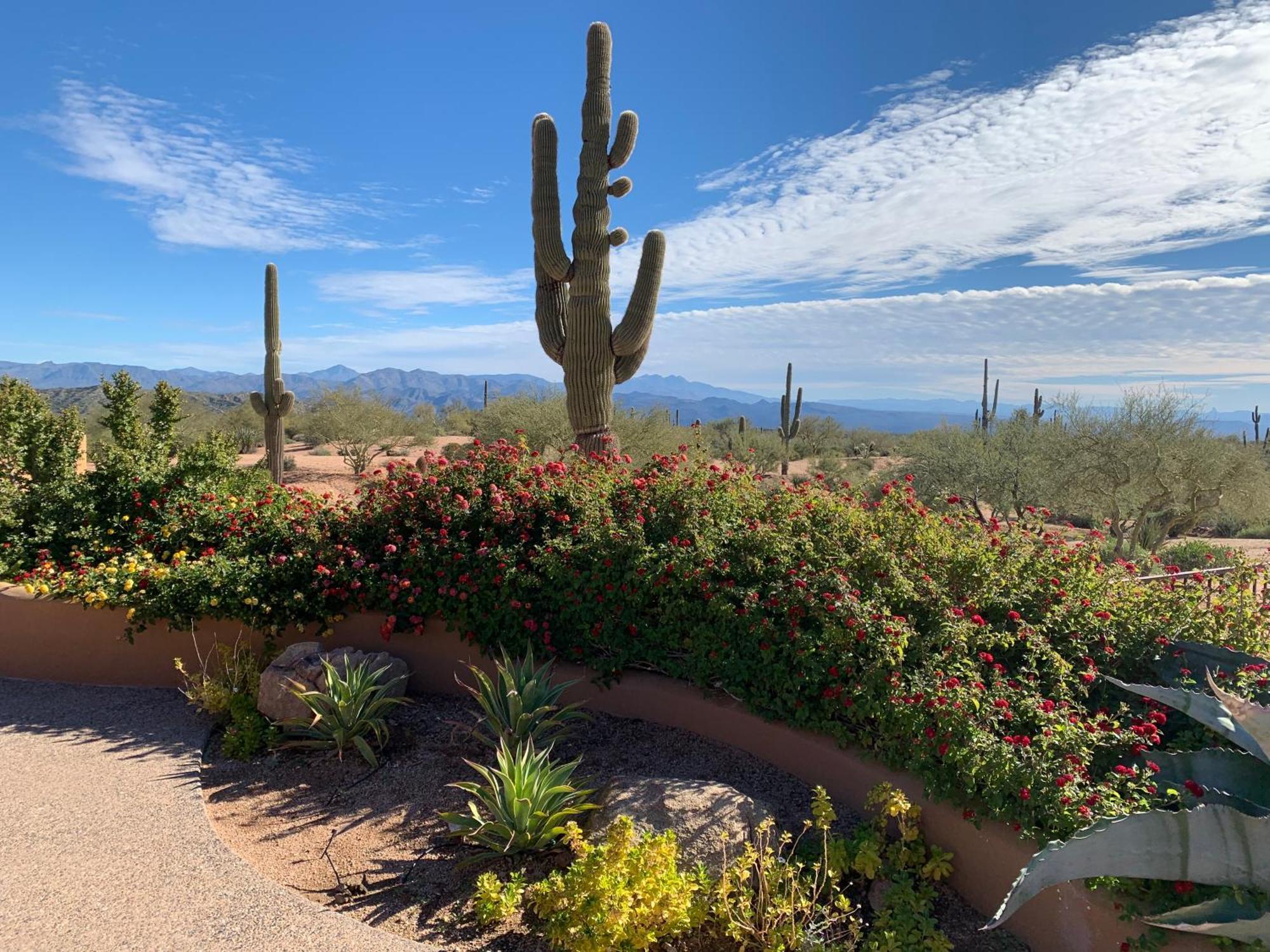 Rio Rancho Verde Two Bedroom Suite Scottsdale Exterior foto