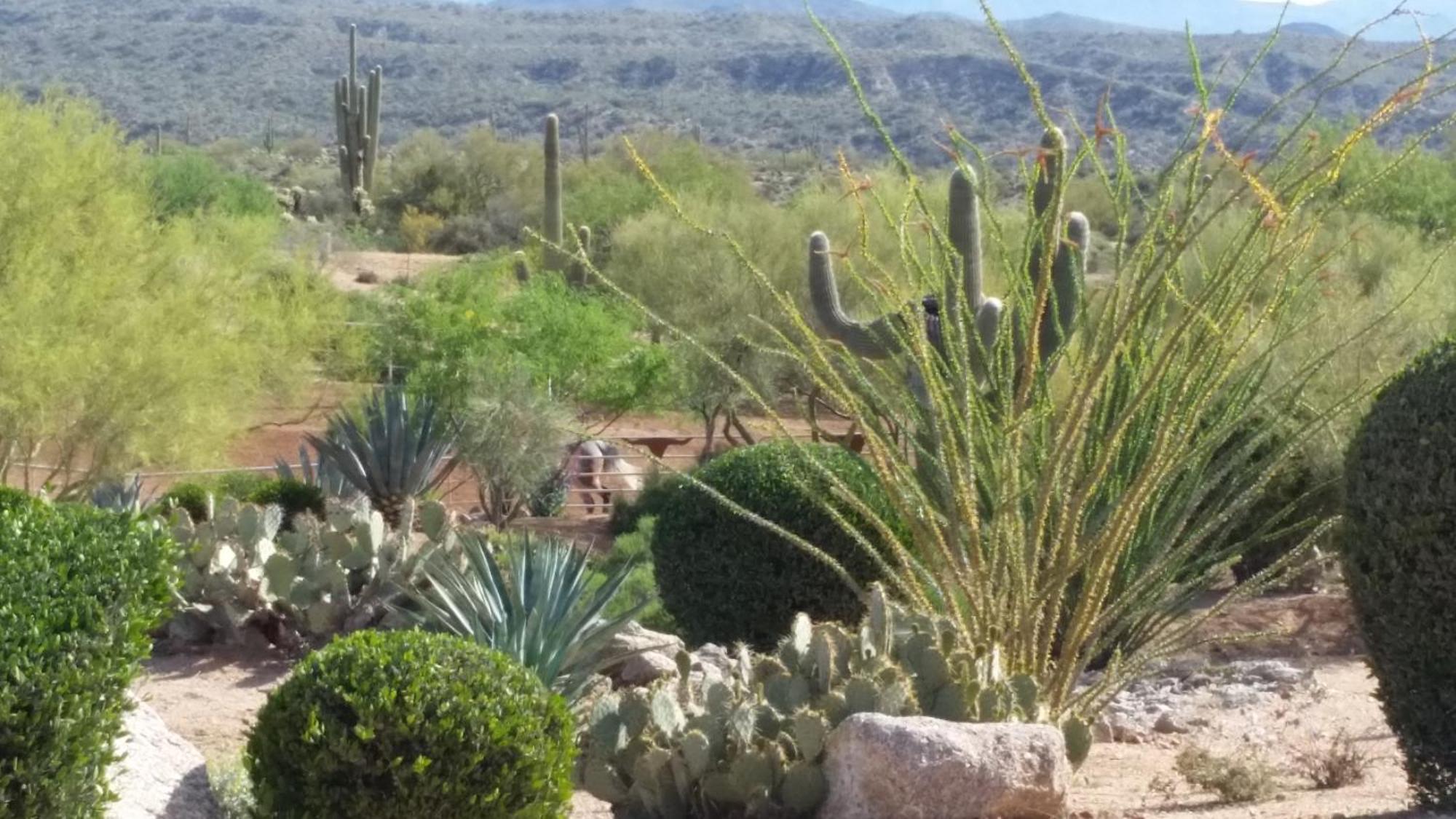 Rio Rancho Verde Two Bedroom Suite Scottsdale Exterior foto
