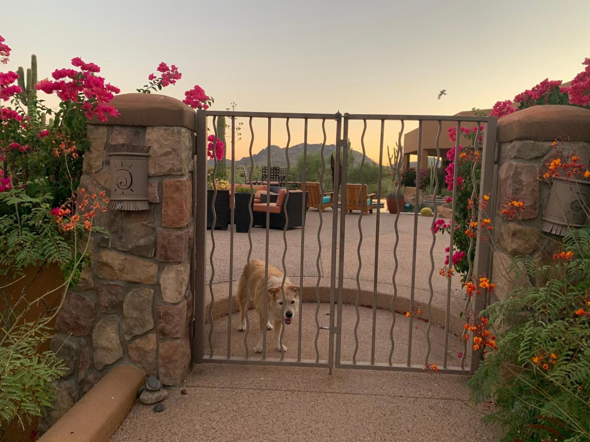 Rio Rancho Verde Two Bedroom Suite Scottsdale Exterior foto